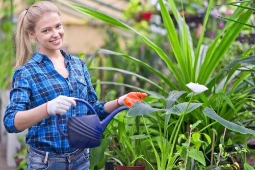 A young woman with long blonde hair, dressed in a blue checkered shirt and wearing gardening gloves, is standing in a garden surrounded by lush, green foliage and various plants. She is holding a blue watering can, watering a group of tall, broad-leafed plants with white flowers. The garden features a mixture of textures, including smooth flower petals, dense grass, and bushy shrubs, with a natural outdoor setting under bright, natural daylight. Behind her, there are other potted plants and garden elements, indicating a well-maintained landscaped outdoor space typical of a residential garden in Eltham, South East London. The scene emphasizes active garden care and plant nurturing, aligning with gardening services such as maintenance, clearance, and landscaping provided by Gardening Services Eltham in the area.