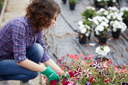 Gardener team starting work at a residential garden in Eltham