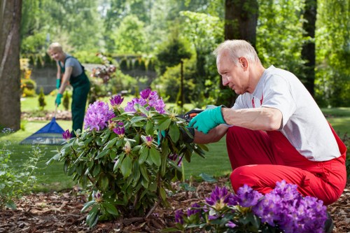Worker inspecting a lawn and taking notes