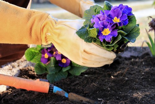 Close-up of pruning and plant inspection tools