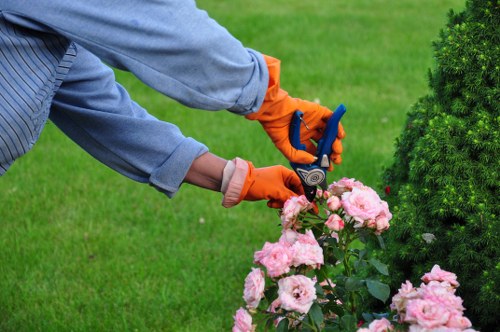 Gardening team providing a free on-site quote