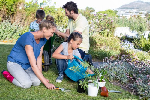 Eltham garden design and planning session